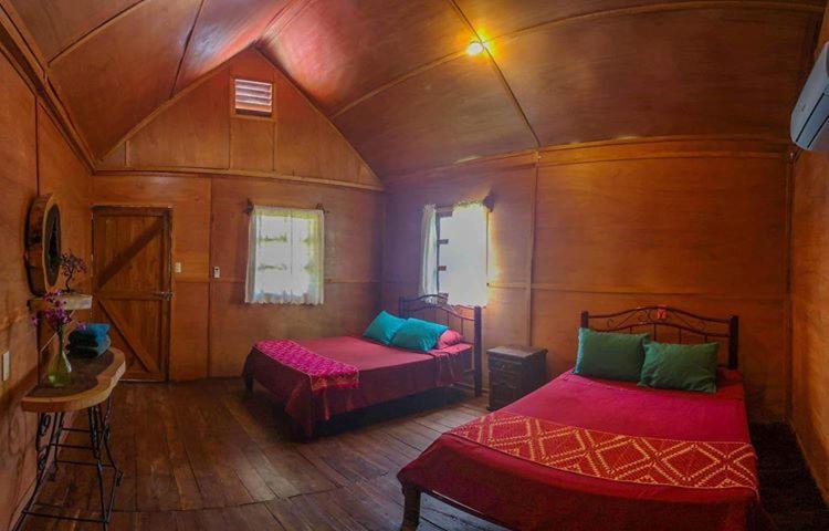 Green Monkey Hostel باكالار المظهر الخارجي الصورة